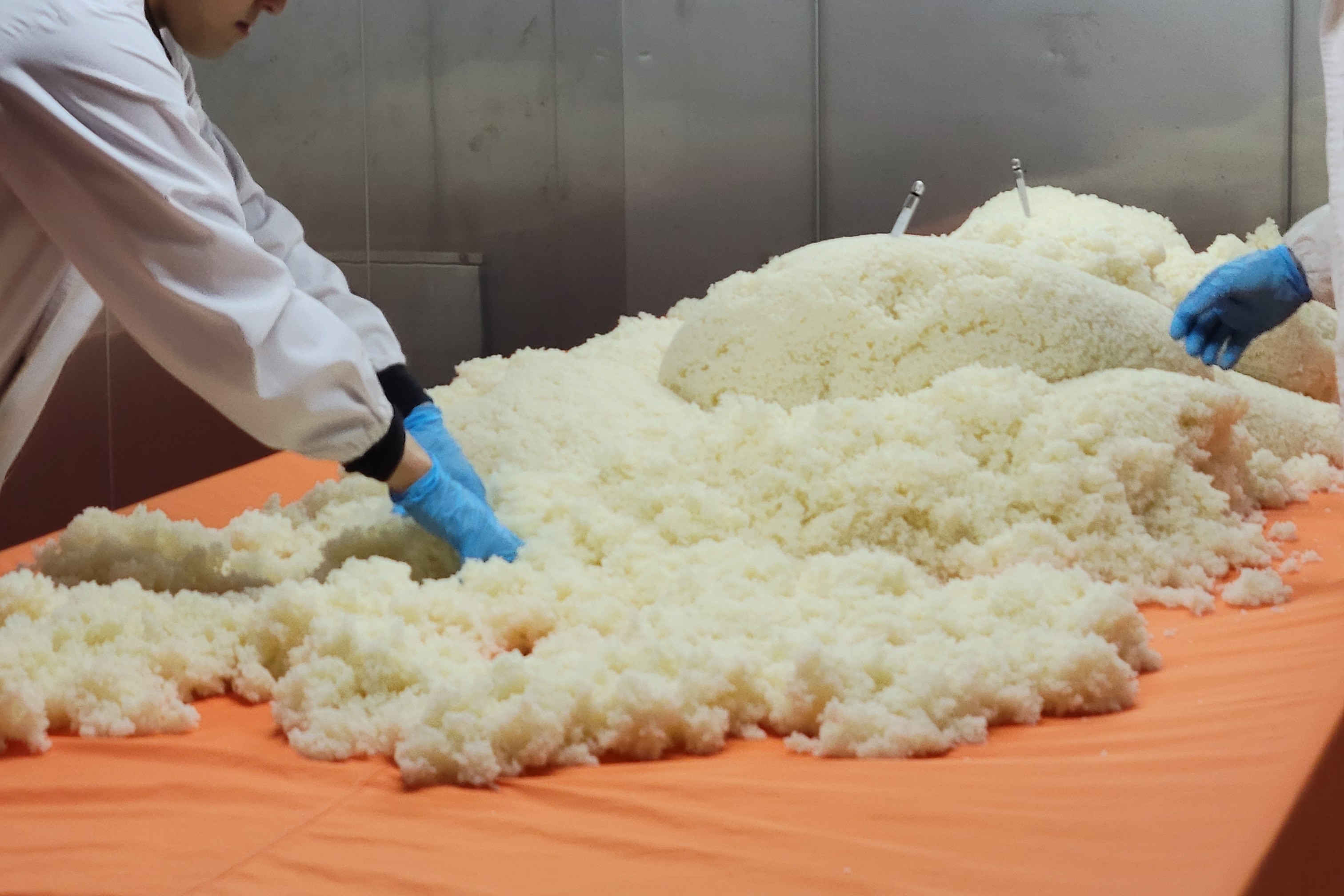 お米のダイエット!? 精米と蒸しが「旨さ」を決める日本酒の秘密