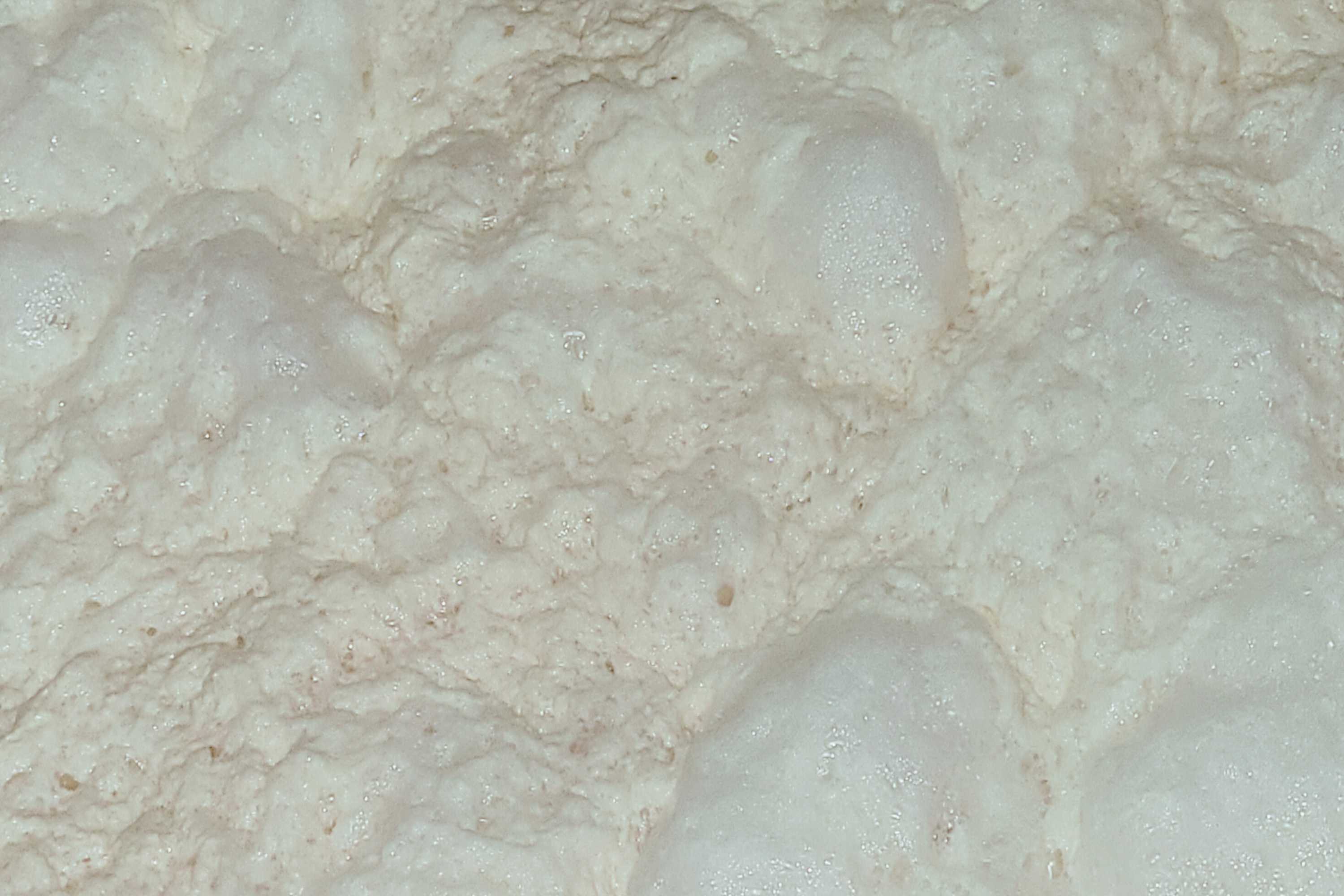 “発酵の魔法”を味わう「日本酒と麹の不思議な世界」